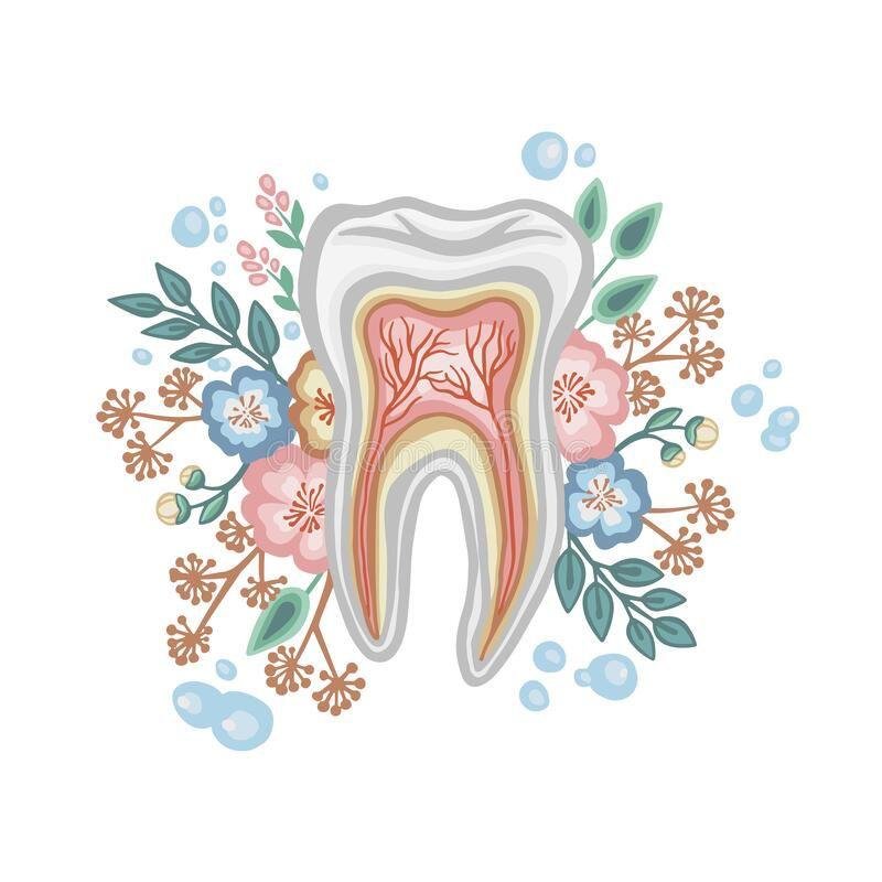 Category 5 - Image 2